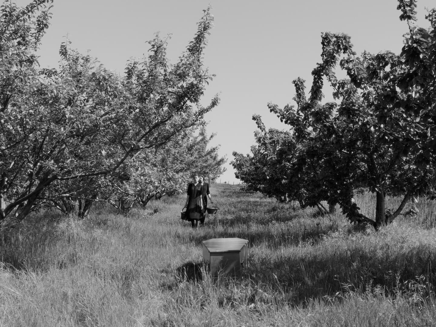 image_etrefil_16.jpg